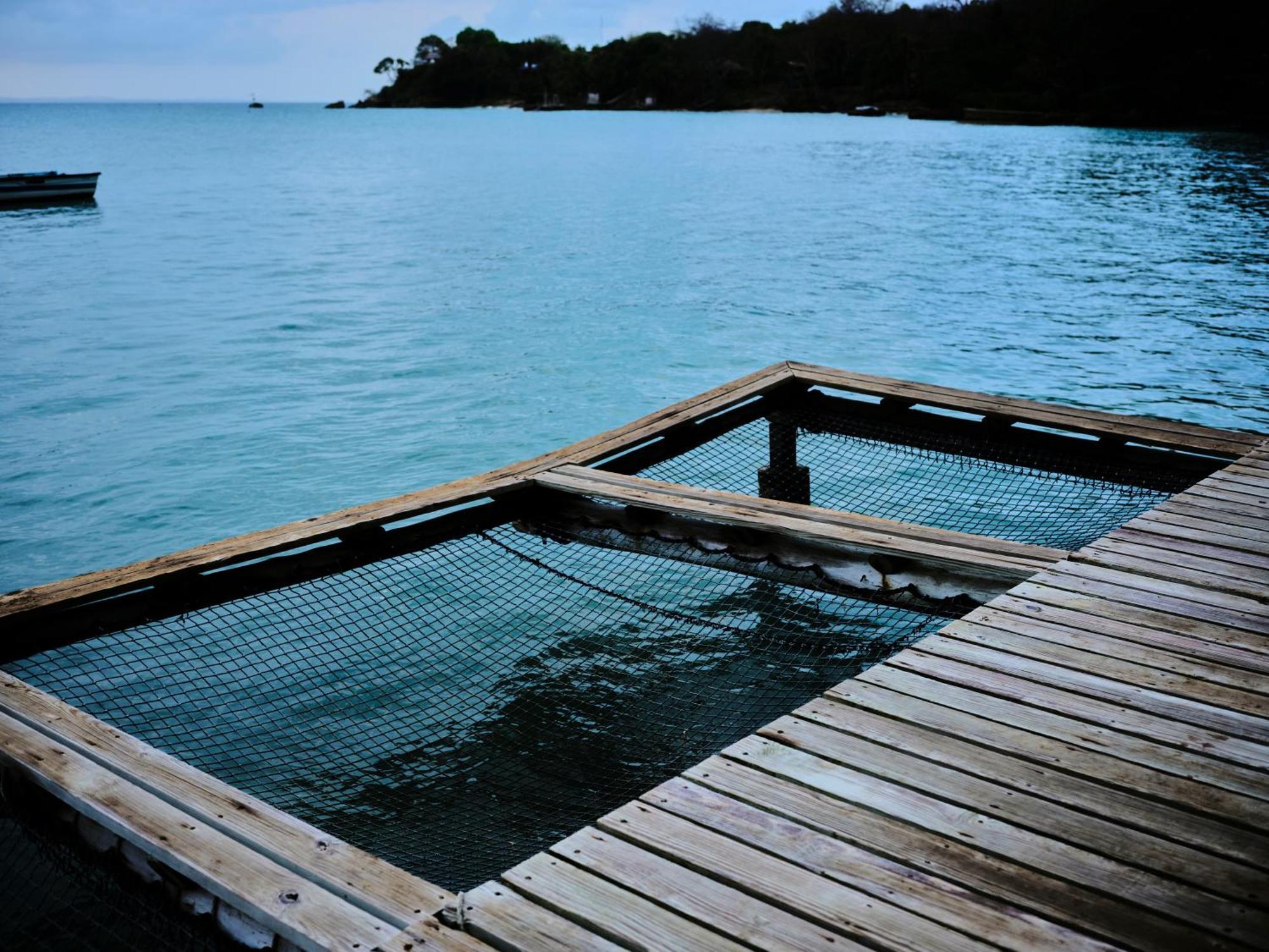 Isla Fuerte Eco House Puerto Limon Exterior foto